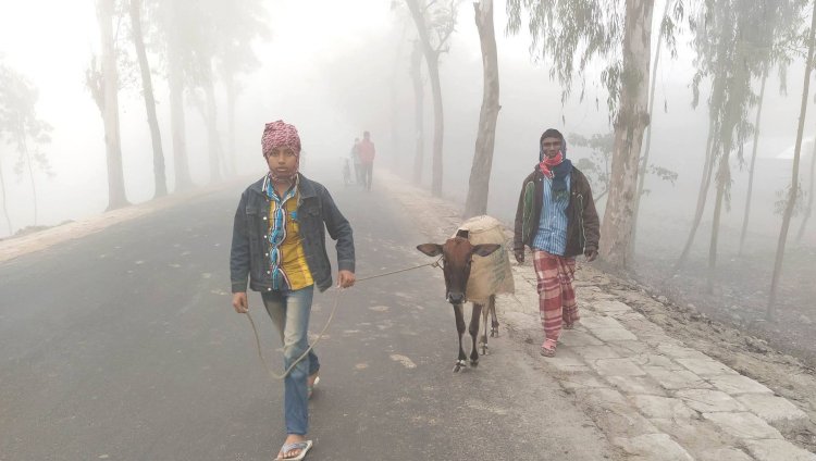 কুড়িগ্রামে শৈত্য প্রবাহে জন জীবনে ভোগান্তি