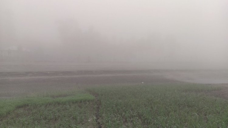 কুড়িগ্রামে শীতের প্রকোপ দুর্ভোগে হত দরিদ্র মানুষেরা