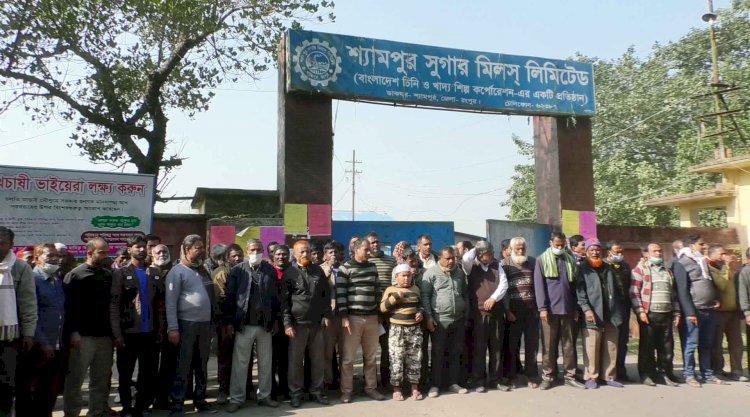 চিনিকল বন্ধের প্রতিবাদে বুধবার শ্যামপুরে আধাবেলা হরতাল