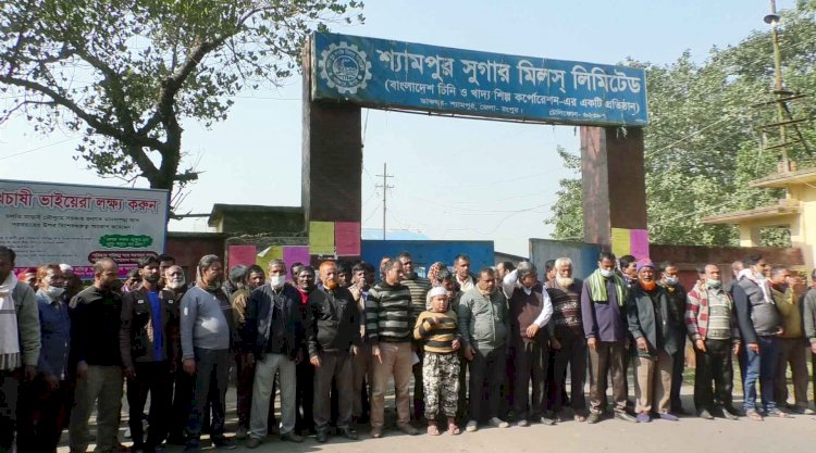 চিনিকল বন্ধের প্রতিবাদে  বুধবার শ্যামপুরে আধাবেলা হরতাল