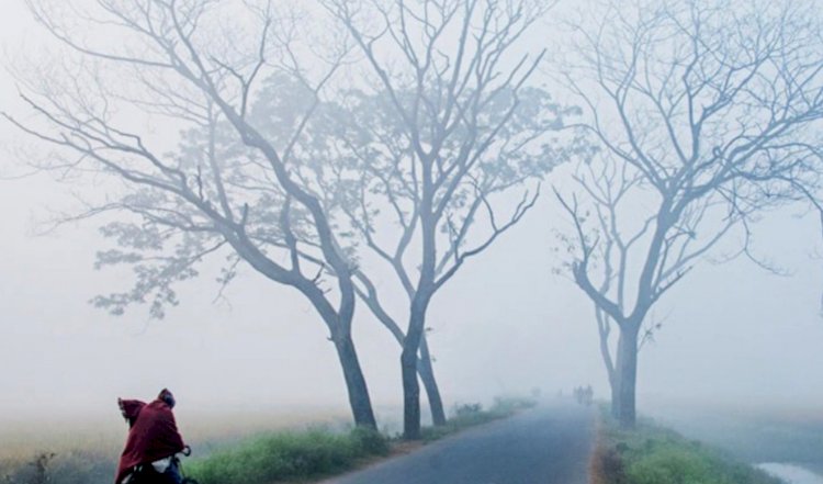 রংপুরে বাড়বে তাপমাত্রা, থাকবে ঘন কুয়াশা