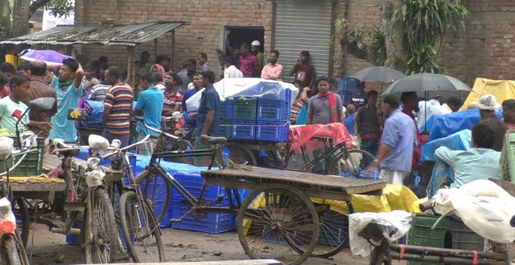 রংপুরে হাড়িভাঙ্গা আম বিক্রি শুরু