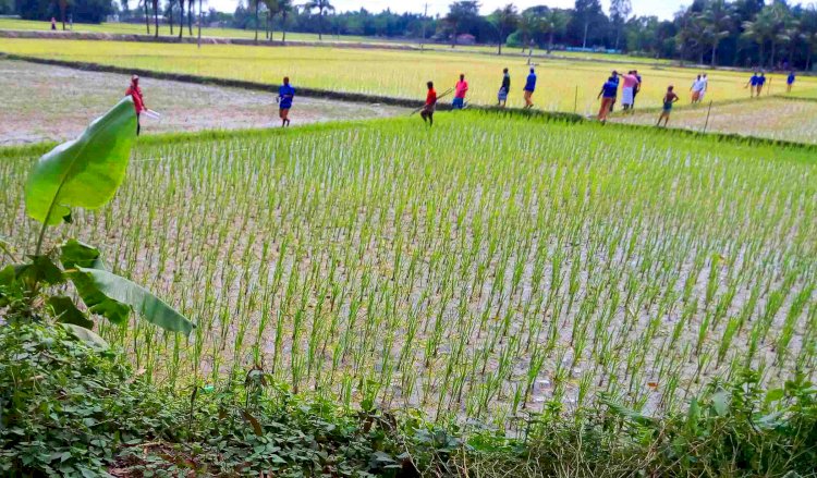 গঙ্গাচড়ায় বেদখল থাকা সড়ক উদ্ধার করল ইউপি চেয়ারম্যান