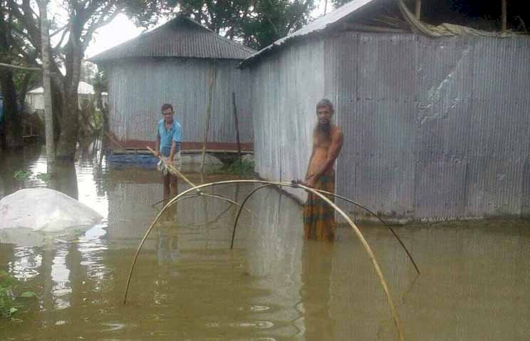 তিস্তা নদীর পানি বৃদ্ধি, রংপুরে ৬ হাজার পরিবার পানিবন্দী