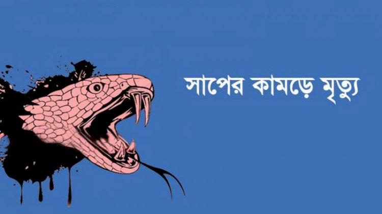 ঠাকুরগাঁওয়ে সাপের কামড়ে দুই নারীর মৃত্যু