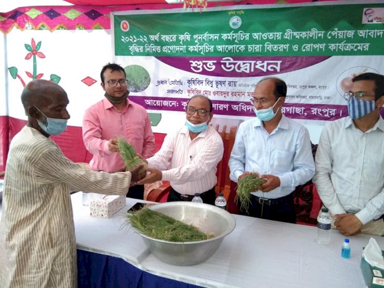 আমদানী নির্ভরতা কমাতে রংপুরে গ্রীষ্মকালীন পেঁয়াজ চাষাবাদের উপর গুরুত্বারোপ