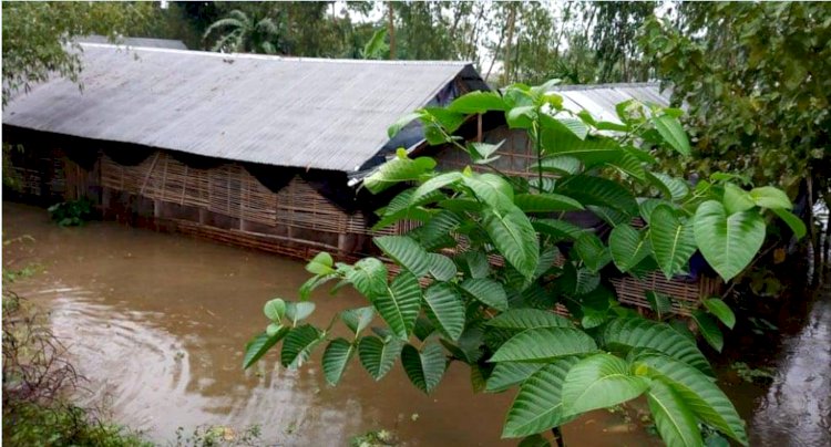 তিস্তার পানি বিপদসীমার ৭০ সেঃমি উপরে, দিশেহারা কৃষক