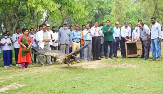 দিনাজপুর সিংড়া জাতীয় উদ্যানে ১৯টি শুকুন অবমুক্তকরণ