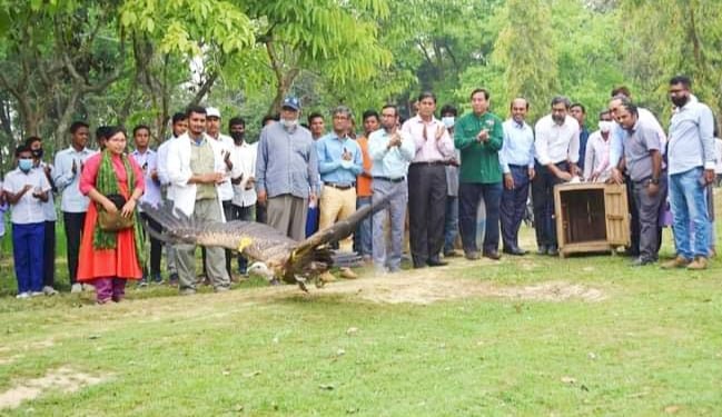 দিনাজপুর সিংড়া জাতীয় উদ্যানে ১৯টি শুকুন  অবমুক্তকরণ