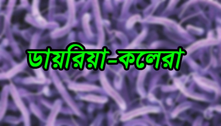 দেশে উন্নতি নেই ডায়রিয়া পরিস্থিতির