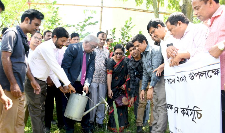 বেরোবি অফিসার্স অ্যাসোসিয়েশনের বৃক্ষরোপন