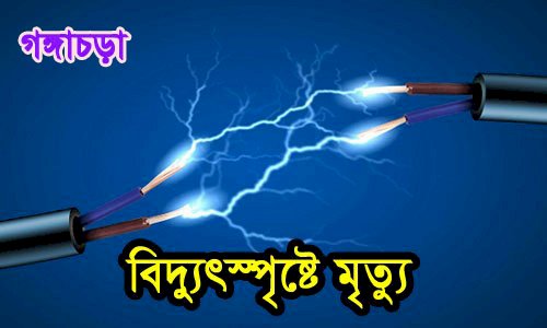গঙ্গাচড়ায় ধান ক্ষেতে পানি দিতে গিয়ে বিদ্যুৎস্পৃষ্টে কৃষকের মৃত্যু