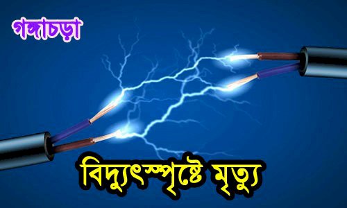 গঙ্গাচড়ায় ধান ক্ষেতে পানি দিতে গিয়ে  বিদ্যুৎস্পৃষ্টে কৃষকের মৃত্যু