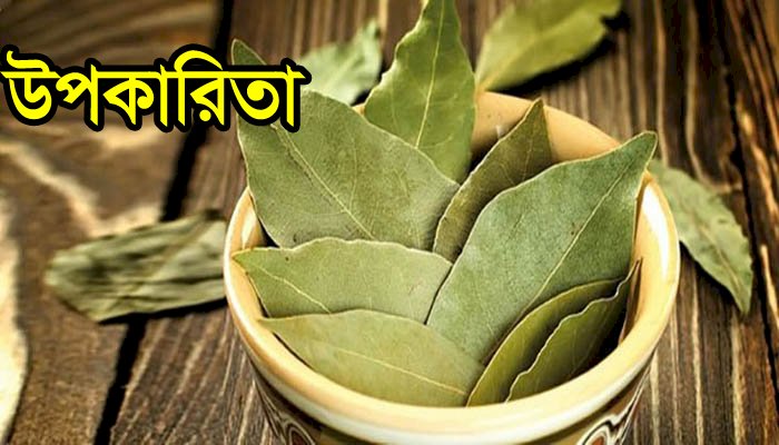 তেজপাতার ১০ উপকারিতা, জানলে অবাক হবেন