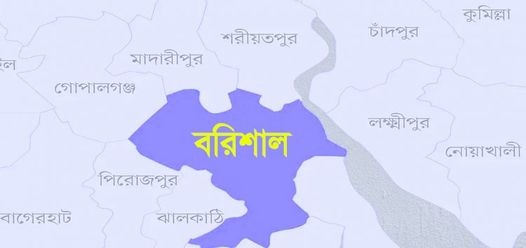 বোরকা ছাড়া ছবি আপলোড, স্ত্রীকে ভিডিও কলে রেখে যুবকের আত্মহত্যা