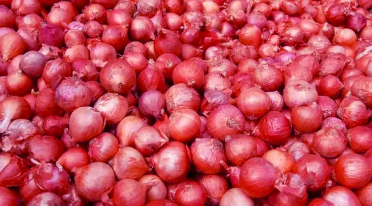 আমদানির ঘোষণাতেই পেঁয়াজের দাম ২০ টাকা কমলো