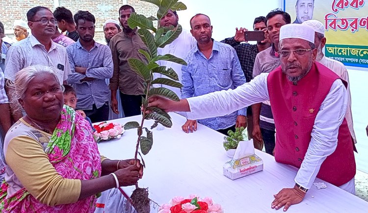 আ.লীগের প্রতিষ্ঠা বার্ষিকীতে রংপুরে এক হাজার গাছের চারা বিতরণ