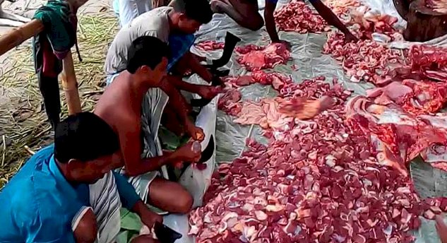 কিভাবে ভাগ করবেন কোরবানির গোশত