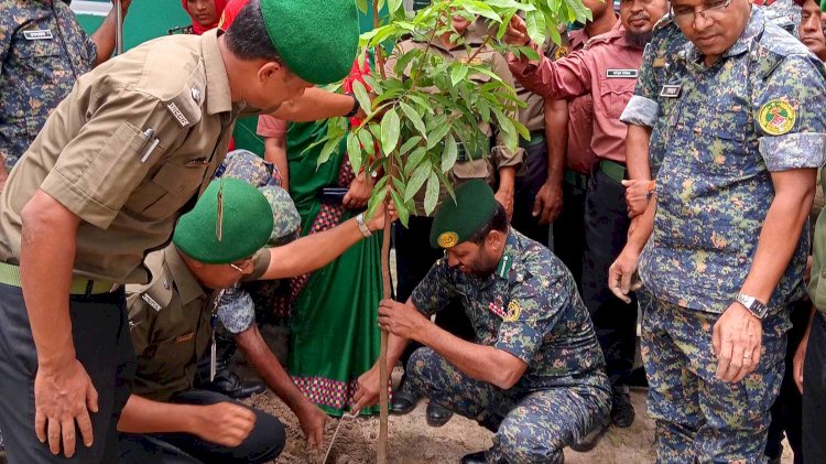 রংপুরে আনসার-ভিডিপির বৃক্ষরোপণ কর্মসূচি