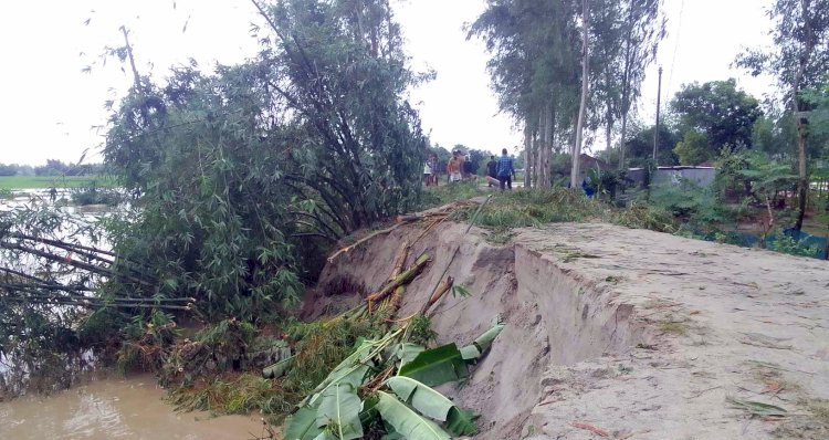 রংপুরে উজানের ঢলে  ভাঙ্গলো চরবাসীর বালু’র বাঁধ