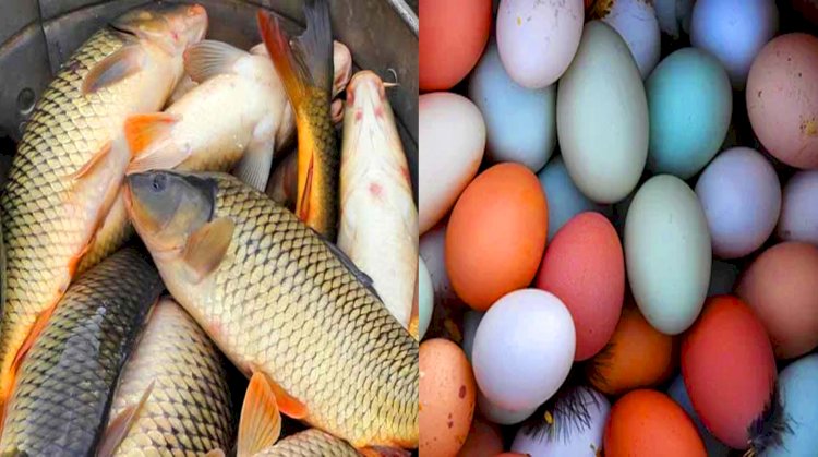 এবার দাম বাড়ছে মাছ ও ডিমের